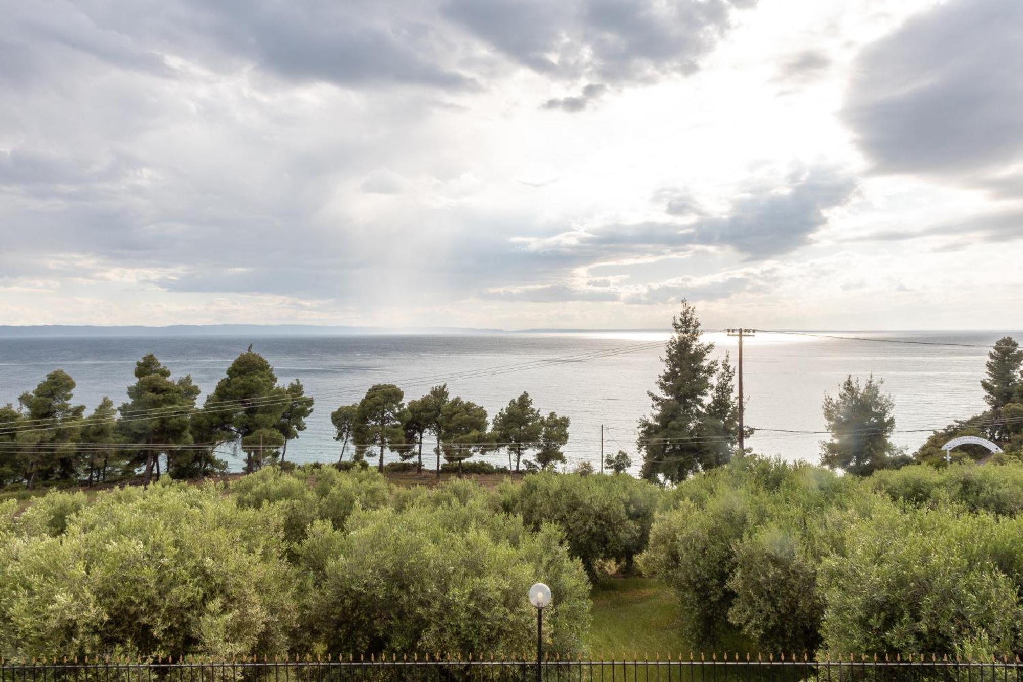 House Panorama Sea View Leilighet Neos Marmaras Eksteriør bilde